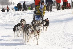 Lenk 2012 SM